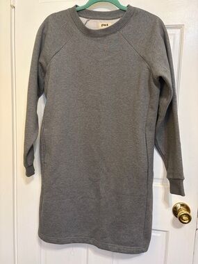 Pact Sweatshirt Dress in Grey
